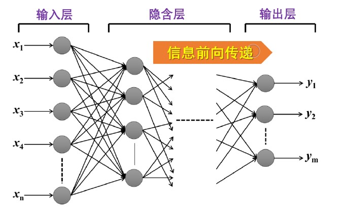 神经网络